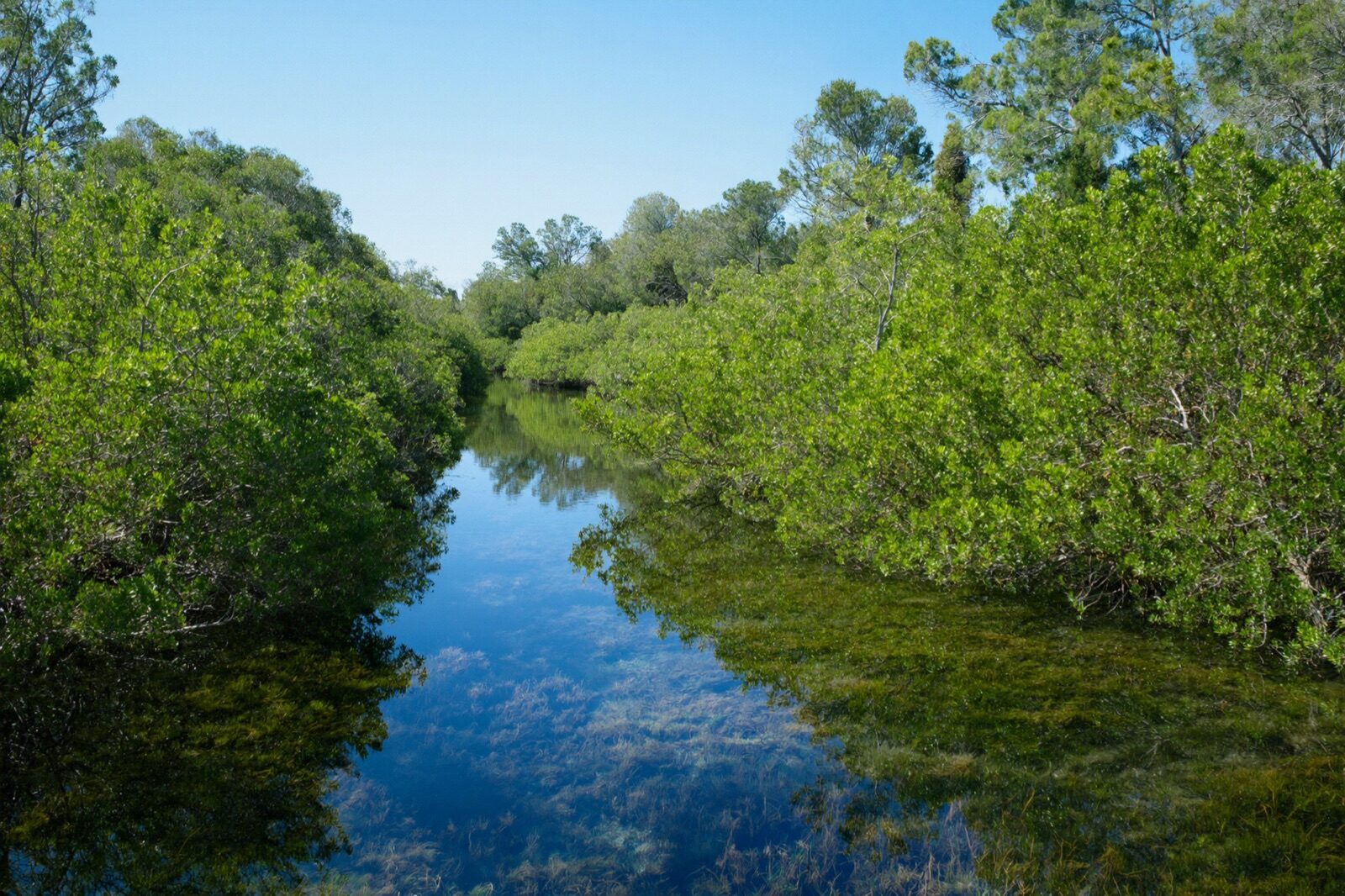 Autumn wildlife active across the backcountry of Florida Bay