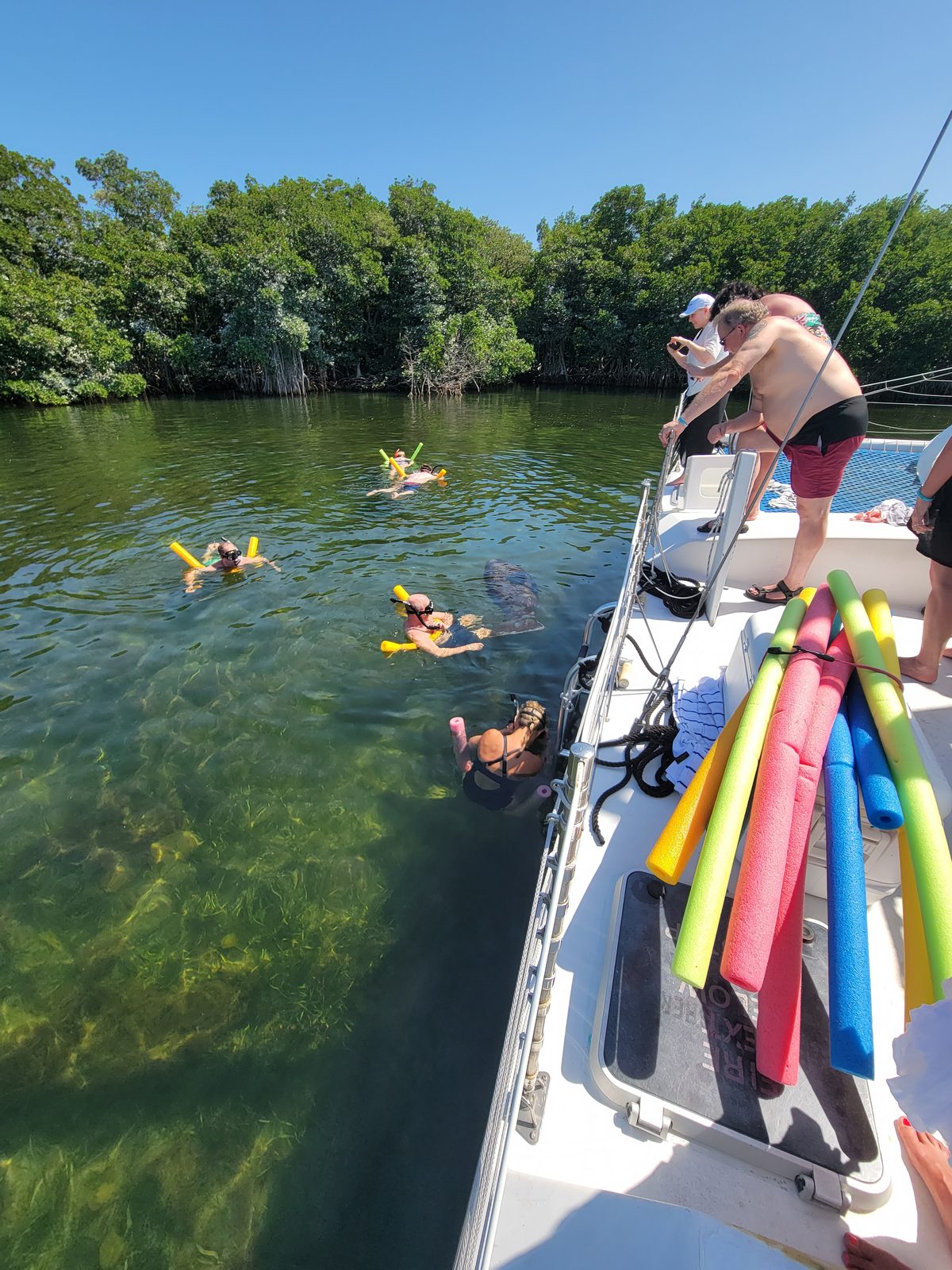 Colorful reef fish and coral in clear water near Key Largo