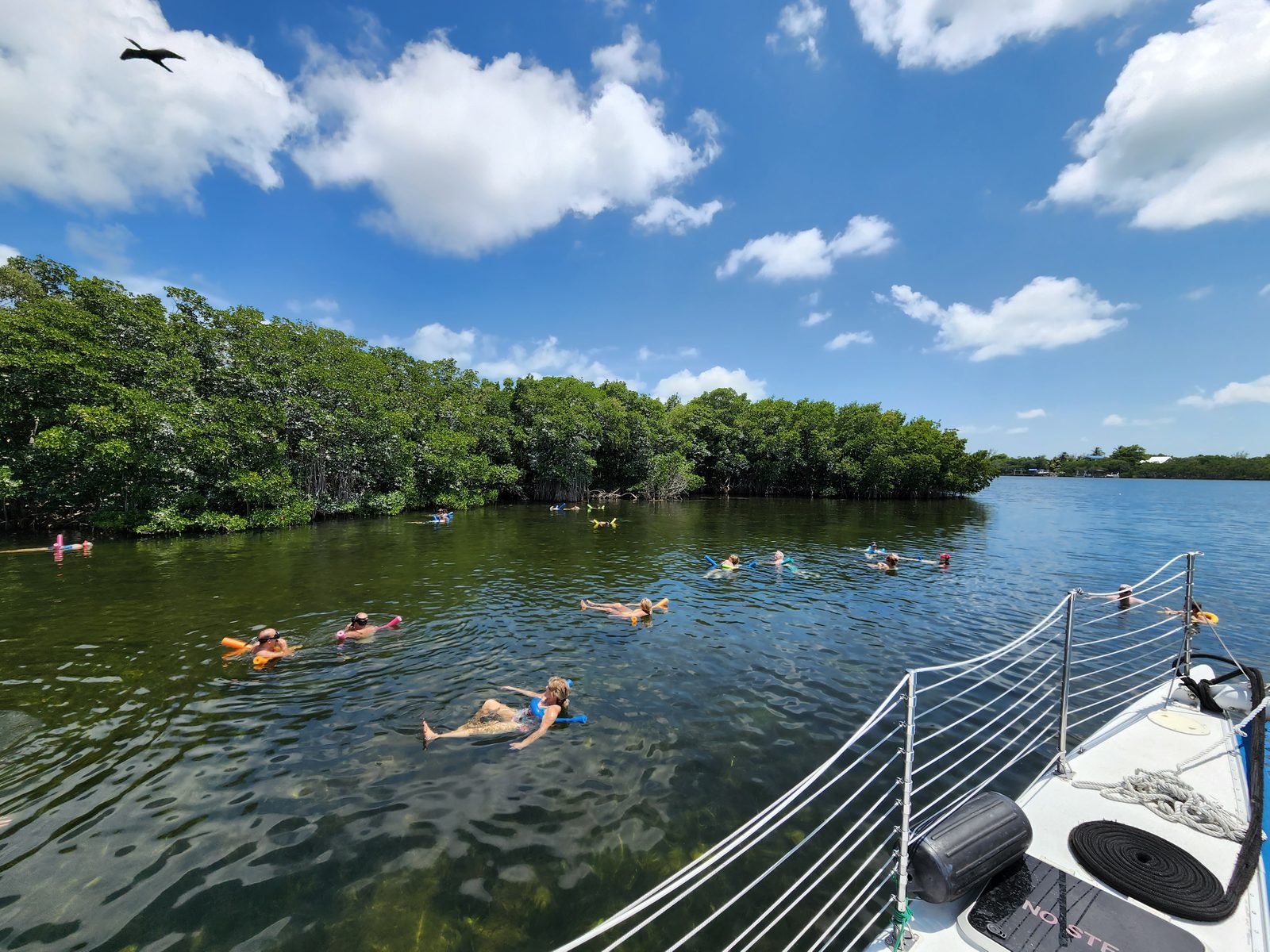A first-time visitor snorkeling the clear, shallow flats of Key Largo